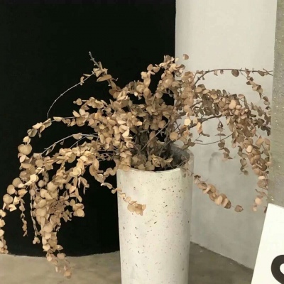 兽设山谷场景设计Furry群